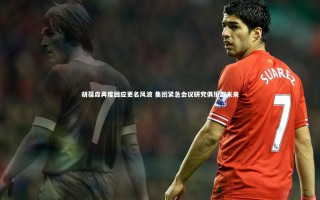 牛八体育官网|胡葆森再度回应更名风波 集团紧急会议研究俱乐部未来